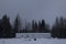 Ruins of a one-story concrete army building in the taiga