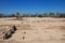 Ruins of Palace in Amarna, Egypt, Africa