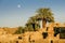 Ruins and palm trees at Karnak temple complex