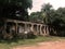 Ruins of Paricatuba, vegetation vs centenarian building