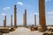 The ruins of Persepolis in Iran