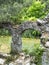 Ruins of the port of the ancient city of Olympos