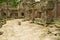 Ruins of the Preah Khan Temple in Siem Reap, Cambodia.