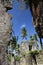 The Ruins of Presidencia Building in Sorsogon