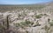 Ruins of Quilmes in the Calchaqui Valleys, Tucuman Province, Argentina