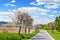 Ruins of Radyne castle near Pilsen in the spring landscape, Czech republic