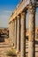 Ruins Roman Capitol Thuburbo Majus, Tunisia