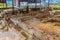 Ruins of Roman Thermae of Maximinus in Braga, Portugal