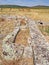 The ruins of the Roman Villa of Torre de Palma and vineyards beyond in the Alentejo region of Portugal