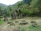 Ruins of round stone in a forest in Armenia.