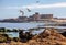 Ruins on the Small Island in Essaouira, Morocco