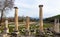 Ruins of South Agora with huge pool in Aphrodisias, Turkey