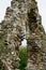 Ruins of St. Saviour`s Church, Surlingham, Norfolk Broads, England, UK