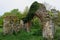 Ruins of St. Saviour`s Church, Surlingham, Norfolk Broads, England, UK