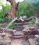 Ruins of Stairway in Forest - The Blocked Road