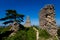 Ruins of Stary Jicin castle