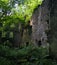 The ruins of staups mill near hebden bridge in woodland