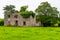 Ruins of an stone irish house taken by vegetation