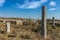 ruins of stone walls and columns of ancient castle Histria, Romania