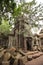 Ruins of Ta Prohm, Cambodia