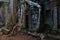 Ruins of Ta Prohm temple