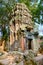 Ruins of Ta Prohm Temple, Angkor, Siem Reap, Cambodia. 