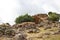 ruins at Tamuli Archeological site at Sardinia