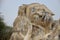 Ruins. Temple And Smiling Face Reclining Buddha