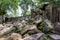 Ruins and tetrameles at Ta Prohm temple