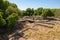 Ruins of Troy ancient city with wooden walkway.