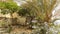 Ruins- view of Tabernas-Almeria