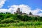 Ruins of Wachenheim Castle near Bad Durkheim. Wachtenburg in Wachenheim