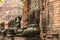 Ruins of Wat Mahathat temple and beheaded Buddha statues. Ayutthaya, Thailand