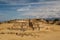 Ruins of the zapotec pre-hispanic city Monte Alban, Oaxaca