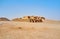 The ruins of Zoroastrian ritual buildings, Yazd, Iran