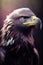 Ruler of the Skies: Captivating Portrait of a Majestic Eagle. Generative AI