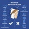 Rules of healthy sleep with correct and wrong habits list outline concept