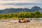 Ruling the landscape, brown bears of Kamchatka