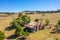 Run down abandoned farm house now has the run of sheep