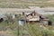 Run down farm buildings, New Mexico