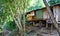 Run down shack in poor Kayan village, Thailand