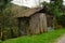 Run down shack with vines growing around it