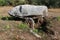 Run-er-Sinzen dolmen - megalithic monument near Erdeven in Brittany