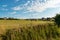 A run for horses in the background of a campsite and windmills generating clean energy. rural landscape and modern energy sources