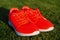 Run the life Sneakers on green grass. Pair of sneakers on sunny outdoor. Sport shoes of orange fabric material on white