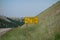 A runaway truck sign in the mountains.