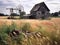 Rundown barn wooden windmill in background