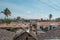 Rundown buildings in the slum area of the Island of Mozambique