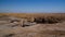 Runed Urga fishing village at the shore of Sudochye lake aka part of former Aral sea, Karakalpakstan, Uzbekistan