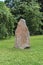 Runic stone in the park, Uppsala, Sweden